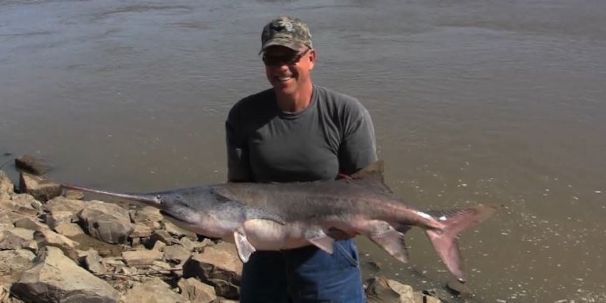 Paddlefish season in North Dakota starts Wednesday