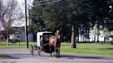 Two children, aged 7 and 11, killed in Amish buggy crash