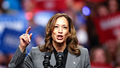 Kamala Harris rebaja las expectativas y pide "no prestar demasiada atención a las encuestas" | Internacional | Cadena SER