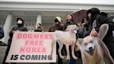 Dog meat trade banned in South Korea as times and attitudes change