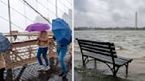 14 Photos That Prove How Wet And Rainy The East Coast Became As A Result Of Tropical Storm Ophelia