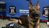 Book, newspaper, antique sale for K-9 Bane hopes to draw crowds to Brownstown