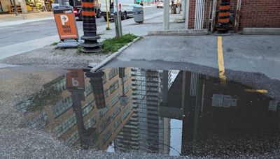 Sarcastic five-star reviews hail dirty puddle in alley as hot new Toronto attraction