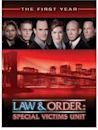 Law & Order: Special Victims Unit season 1