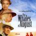 The Whales of August