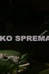 Veliko spremanje