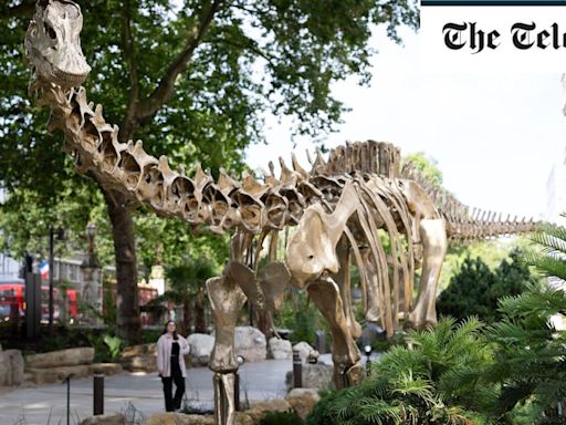 Natural History Museum Gardens: This brand-new bronze diplodocus is a huge Jurassic perk
