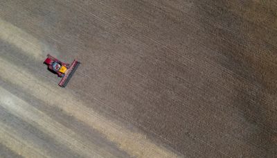 Récord de ingreso de divisas en la agroexportación argentina en julio