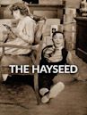 The Hayseed