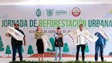 Evelyn Salgado encabeza jornada de reforestación en Acapulco