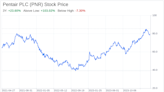 Decoding Pentair PLC (PNR): A Strategic SWOT Insight