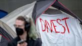 College Chaos and the History of Divestment Protests