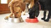 Inukshuk: Has the Dog Food Brand Issued a Recall in 2024?