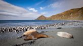 Australia to triple size of protected marine park to area larger than Germany