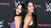 WWE Divas Who Just Couldn't Stand Each Other - Wrestling Inc.