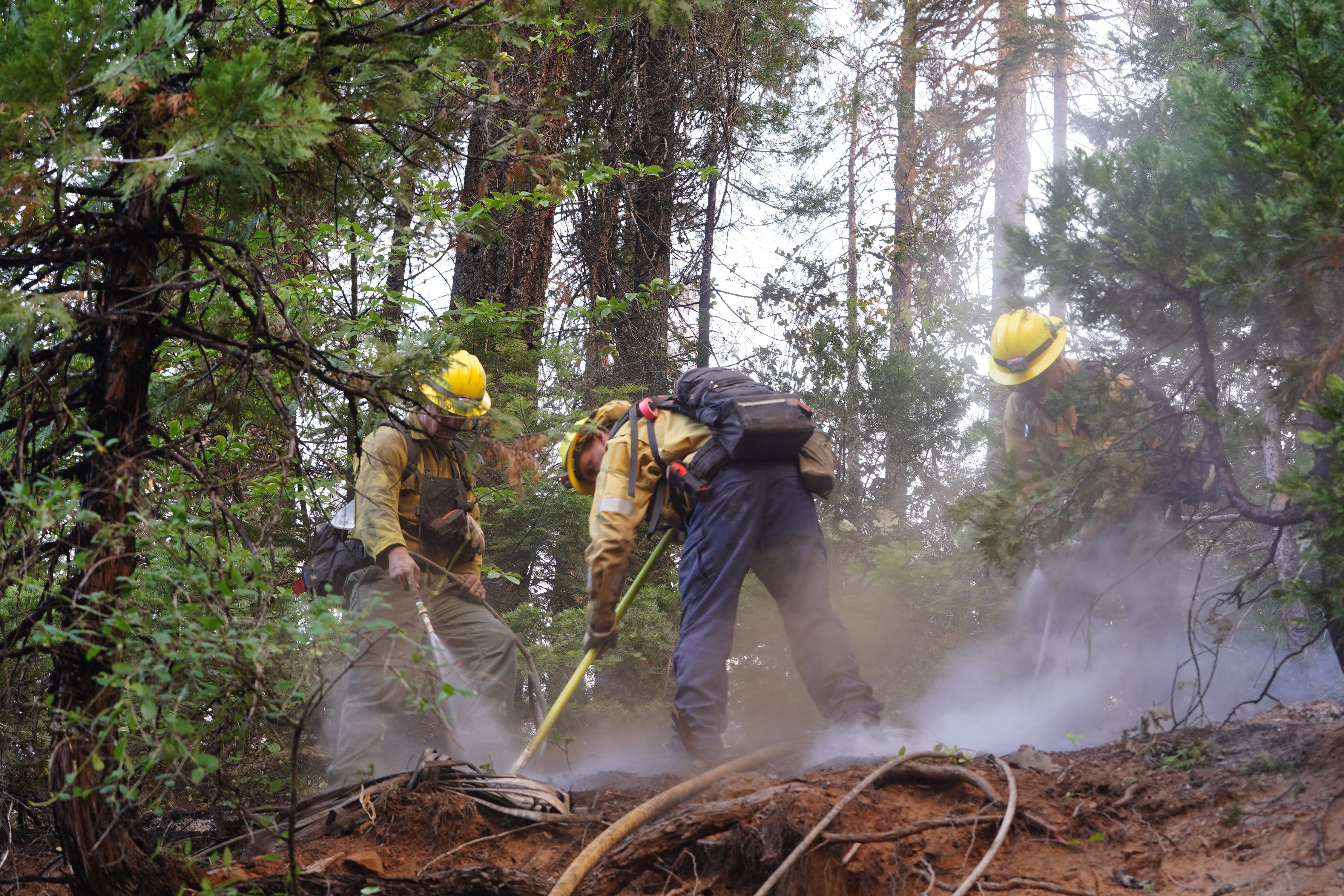 Park Fire threatening one of California's most iconic species at risk for extinction