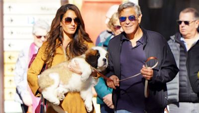 George Clooney Turns 63: Inside His 9-Year Marriage to Amal