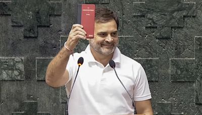 Rahul Gandhi debuts as Leader of Opposition: What perks and powers will he enjoy?