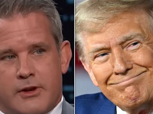 Adam Kinzinger's Way-Too-Specific Description Of Trump Body Odor Might Make You Gag