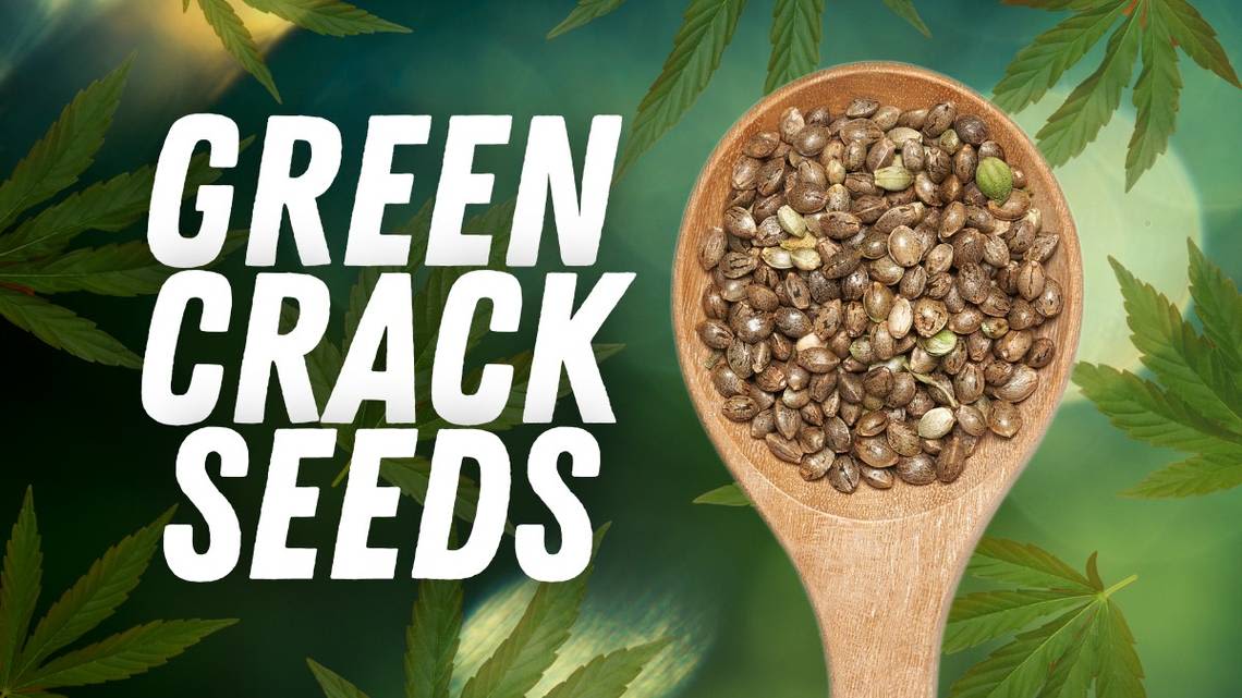 Green Crack Seeds: How to Cultivate and Where to Find Seeds