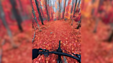 Rider Glides Through Stunning Forest