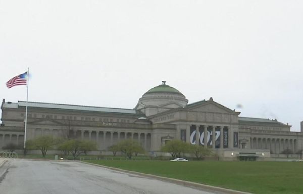 10-year-old girl sexually assaulted at Chicago's Museum of Science and Industry