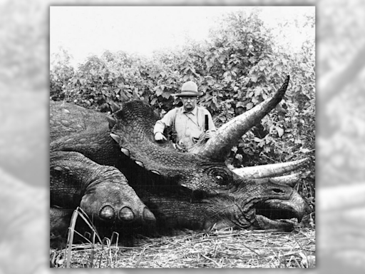 Fact Check: Theodore Roosevelt Supposedly Posed for Photo with Last Known Triceratops. Here Are the Facts