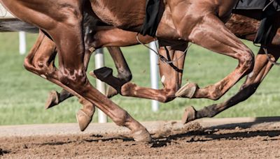 150th Kentucky Derby: Final Results, Standings, & Payouts