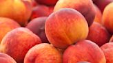 Peaches, Plums, And Nectarines Possibly Tainted With Listeria