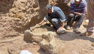 Researchers uncover remains of Ice Age mastodons in Peru