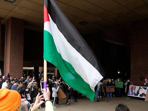 Pro-Palestine protests have popped up at universities across the nation: UK is next