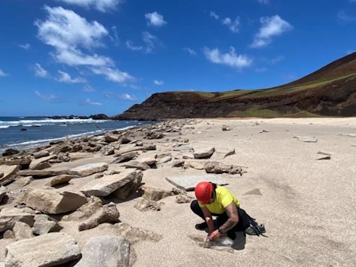 ‘Rochas de plástico’ são achadas em ilha do litoral do Brasil: o que isso significa?