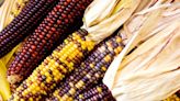 Six Tribal Colleges Awarded Indigenous Foodways Grants