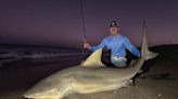 ¿Se puede pescar o conservar un tiburón en Florida? Lo que hay que saber sobre las normas