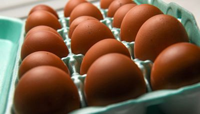 Egg recall is linked to a salmonella outbreak, CDC says: See which states are impacted