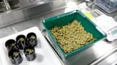 These Ohio dispensaries could be first to sell recreational marijuana – but not yet