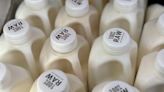There's bird flu in US dairy cows. Raw milk drinkers aren't deterred.