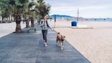 Dog Owners Want Ban on Boardwalk Dog Walking Lifted