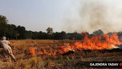 To check stubble burning, Punjab to give 22,000 CRM machines to farmers: govt