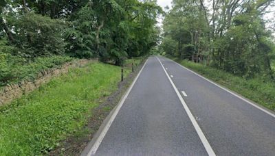 Four men killed after car crashes into tree during early hours of the morning