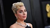 Suspect in dog theft sues Lady Gaga over promised $500K reward for return