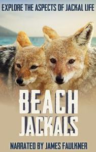 Beach Jackals