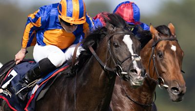 Templegate's Irish Champion Stakes tip and 1-2-3 prediction