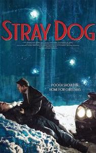 Stray Dog