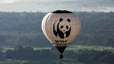 Bericht: "Massive" Finanzlücken beim WWF - Entlassungen geplant