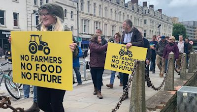 Protest-hit farm subsidy plan pushed back a year