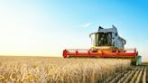 Tighter Supply in Grains Could Push Ag Commodities Higher