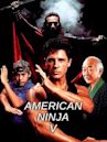 American Ninja V