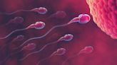 Un registro de reproducción para mejorar los tratamientos de fertilidad