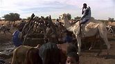 Running The Sahara Movie Trailer (HD) - YouTube